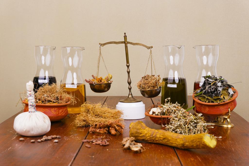 Sathya Ayurveda Ξενοδοχείο Bad Orb Εξωτερικό φωτογραφία